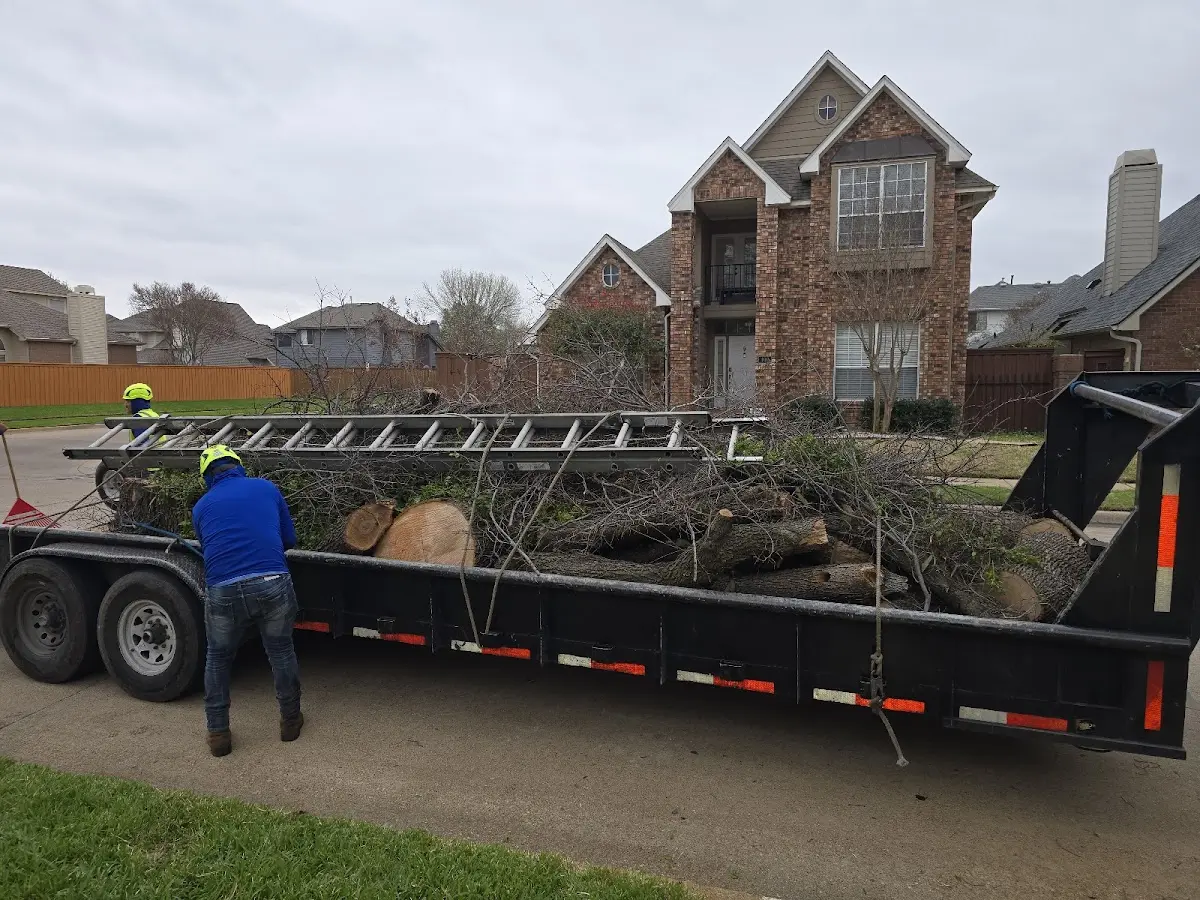 Expert Tree Fertilization with proper safety equipment in Gales Creek